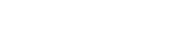 New York Times Bestseller